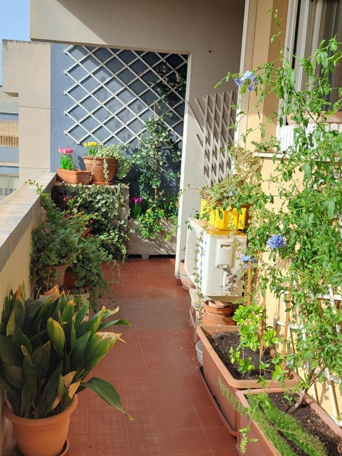 Bellavista Apartment Cagliari Exteriör bild